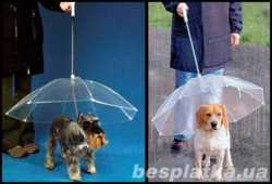Зонтик для собак и кошек, оригинальный подарок владельцам животных 1