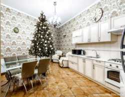 Аренда квартиры на Новый Год в центре Одессы 1