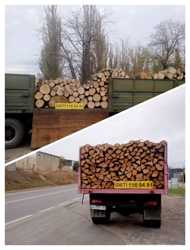 Доставка дров от двух складометров до сорока Одесса. 1