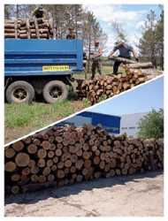 Продам дрова дубовые. 1
