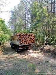Продам дрова Одесса. 2