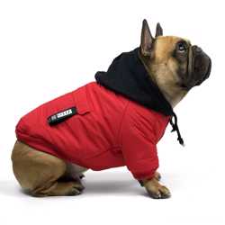 Куртка для собак средних пород SevenHeaven Oskar 2XL Red 2