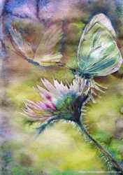 Картина акварелью "Flower and butterfly". 1