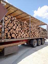 Колотые дрова с доставкой по Одессе и области. 1