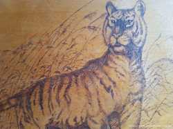 Картина на фанере, Тигр, выжигание, 37х30 2