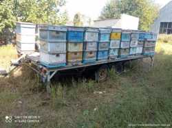 Пчеловодческая платформа площадка прицеп для ульев 2