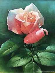 Картина маслом Роза. Живопись, цветы