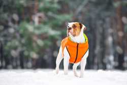Двусторонняя курточка для собак Airy Vest cалатово-голубая L55, оранже 3