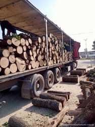 Колотые дрова с доставкой по Одессе и области. 2