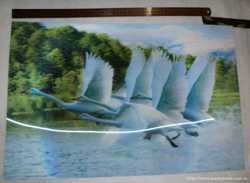 Панно картина Лебеди. Размер 58,5см х 39см 3