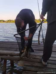 Отдых и рыбалка на берегу Дуная 2