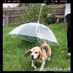 Зонтик для собак и кошек, оригинальный подарок владельцам животных 2