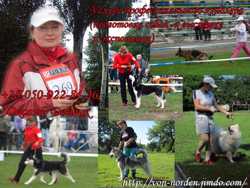 Дрессировка собак в Донецке, выгул, хэндлинг (подготовка к выставкам), помощь при вязках. 3
