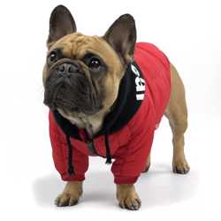 Куртка для собак средних пород SevenHeaven Oskar 2XL Red 1