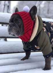 Зимняя новая шерстяная шапка вместе с шарфом для собаки ручной работы 3