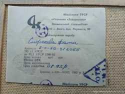 Картина, миниатюра смерекова хата, мінліспром урср 3