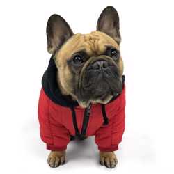 Куртка для собак средних пород SevenHeaven Oskar 2XL Red 3