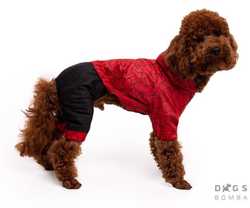 Одежда для собак дождевик красный