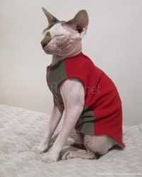 Одежда жилетка комбинезон для кошек сфинкса. 3