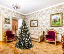 Аренда квартиры на Новый Год в центре Одессы 3