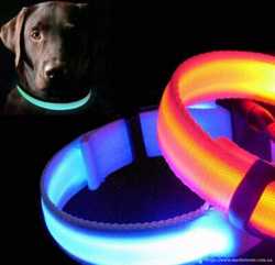 Ошейник LED светящийся узкий для небольших собак и кошек 0.5 м СИНИЙ