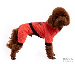 Одежда для собак дождевик оранжевый