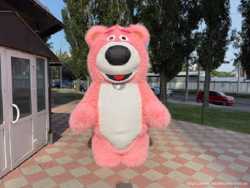 Медведь костюм 6
