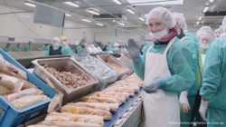 Робота в Словаччині на хлібокомбінаті, зарплата 1200 Євро на місяць 2