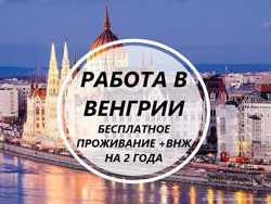 Срочный набор! Везем бесплатно c Украины по био! Работа в Венгрии! 700-950 долларов в месяц
