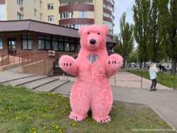 Костюм медведя розовый 4