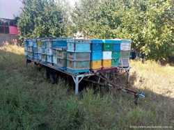 Пчеловодческая платформа площадка прицеп для ульев