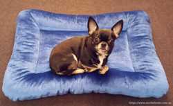 Лежак мягкое место подушка для собак котов 60×40см 1
